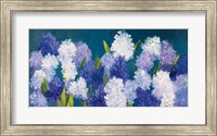 Bold Hyacinth Crop Fine Art Print