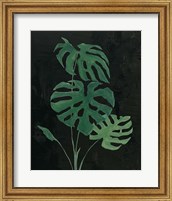 Palm Botanical I Black Fine Art Print