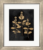 Botanical Sutdy IV GB Fine Art Print