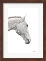 A Horse Named Lady I BW Fine Art Print