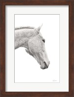 A Horse Named Lady I BW Fine Art Print