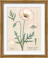 Poppy Chart Linen Fine Art Print
