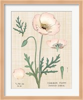 Poppy Chart Linen Fine Art Print