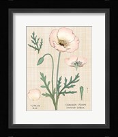 Poppy Chart Linen Fine Art Print