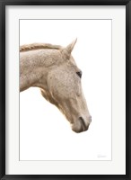 A Horse Named Lady I Fine Art Print