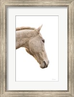 A Horse Named Lady I Fine Art Print