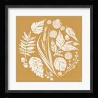 Autumn Tones XI Framed Print