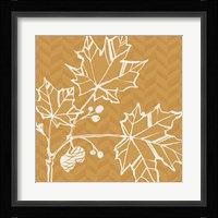 Autumn Tones IV Framed Print