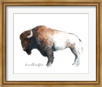Wild Colorful Bison Dark Brown Fine Art Print