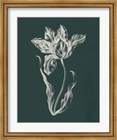 Eden Tulips II Fine Art Print