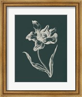 Eden Tulips I Fine Art Print