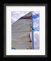 Sail Fine Art Print