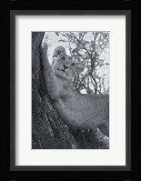 Good Stretch Fine Art Print