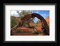 Monument Valley Fine Art Print