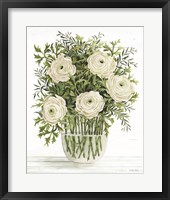 Ranunculus on White Fine Art Print