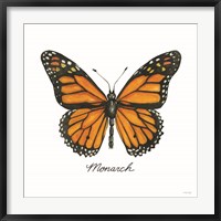 Monarch Fine Art Print