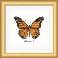 Monarch Fine Art Print