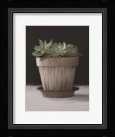 Farmhouse Succulent Fine Art Print