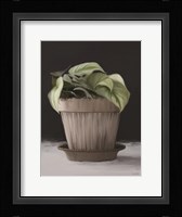 Farmhouse Philodendron Framed Print