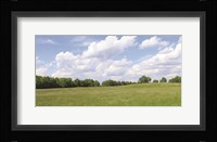 Summer Fields Fine Art Print