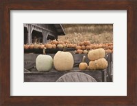 Autumn Pumpkin Harvest Fine Art Print