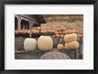 Autumn Pumpkin Harvest Fine Art Print