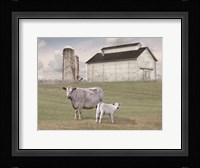Momma and Baby Cow Fine Art Print