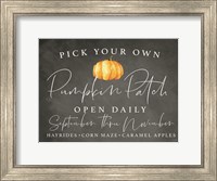 Pumpkin Patch Fine Art Print