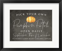 Pumpkin Patch Fine Art Print