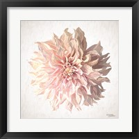 Sweet Dahlia Fine Art Print