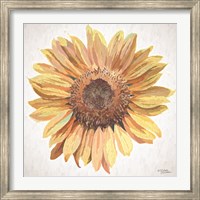 Sunny Sunflower Fine Art Print