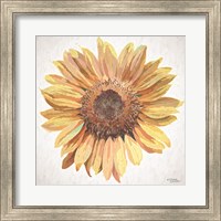 Sunny Sunflower Fine Art Print