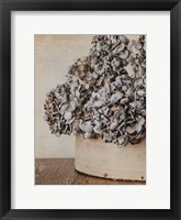 Rustic Hydrangea Fine Art Print