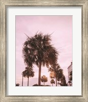 Blush Summer Fine Art Print