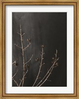 Branches in Noir I Fine Art Print