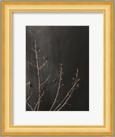 Branches in Noir I Fine Art Print