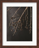 Branches in Noir II Fine Art Print