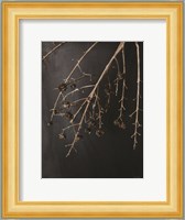 Branches in Noir II Fine Art Print