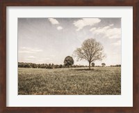 Together in the Fields I Fine Art Print