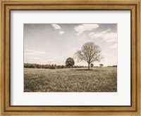 Together in the Fields I Fine Art Print