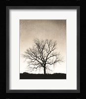 Under Heaven Fine Art Print