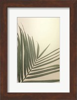 Golden Hour Palm Fine Art Print