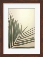 Golden Hour Palm Fine Art Print
