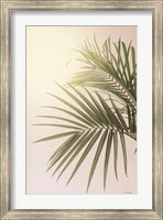 Sunkissed Palm Fine Art Print