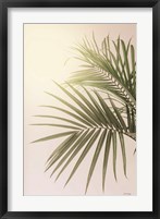 Sunkissed Palm Fine Art Print