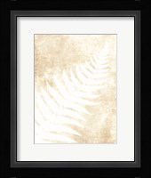 Fern Frond 1 Framed Print
