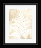 Fern Frond 3 Framed Print
