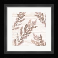 Breezy Fine Art Print