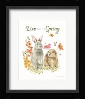 Hop on Spring VII Framed Print