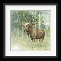 Nature's Call V Framed Print